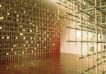 bamboo01