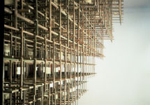 bamboo01