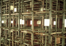 bamboo01