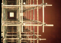 bamboo01