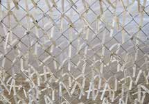 frontera01