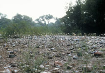 memoria01