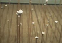 threading01